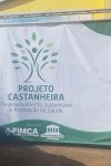 Projeto Castanheira – Metropolitana